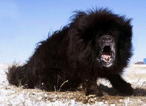 純黑色: 純黑色: